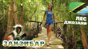 Занзибар. Отдых на Занзибаре, Танзания 2026. Что посмотреть? Еда, экскурсии, цены