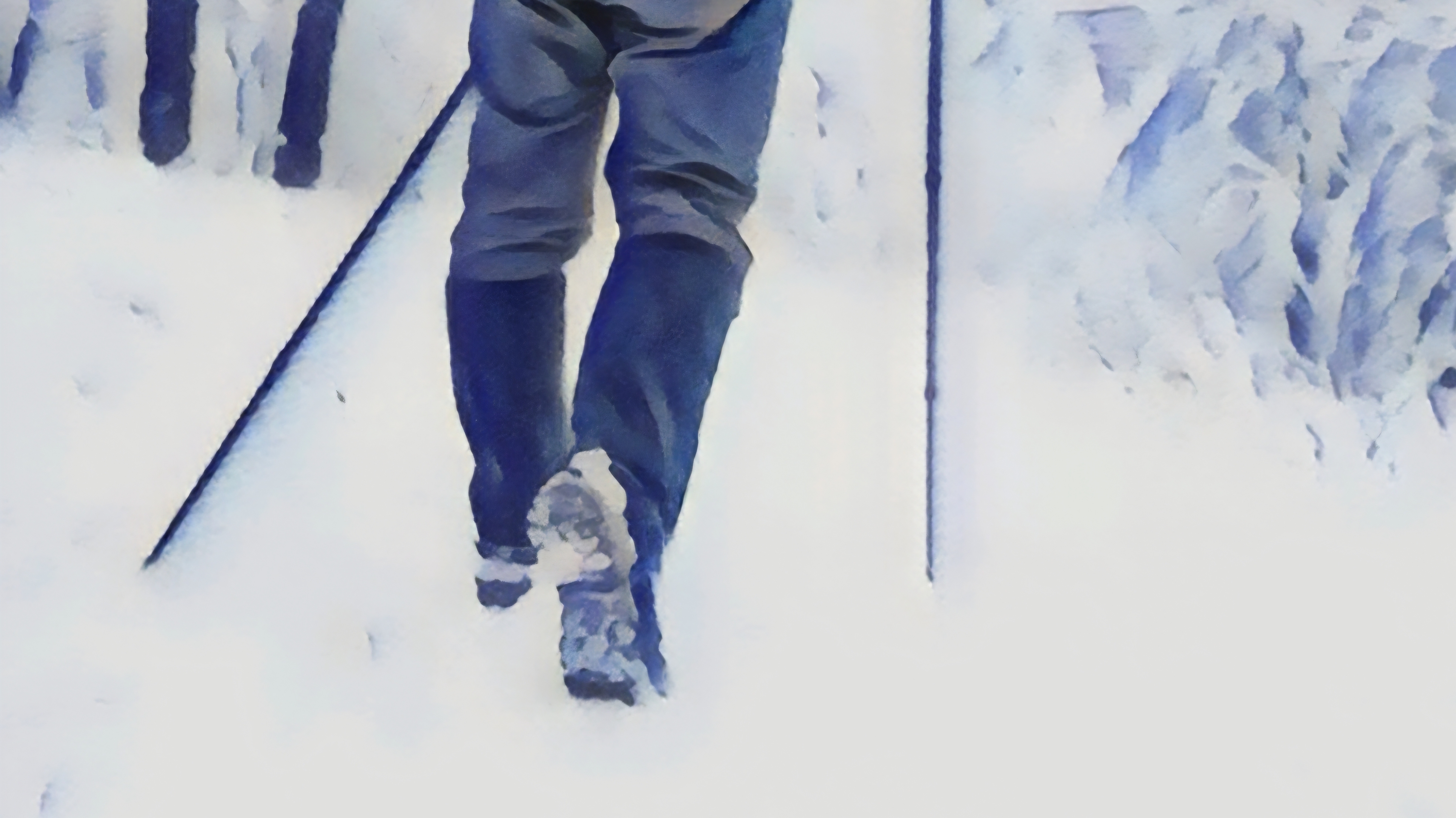 Скандинавская ходьба в снегопад