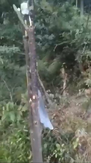 Как показать всех соседей из своего окружения?