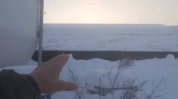 50 тонн снега на крыше коровника