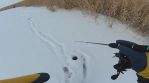 ЩУКА И ОКУНЬ НА БАЛАНСИР! Рыбалка в Астрахани 2026. Зимняя рыбалка 2026.