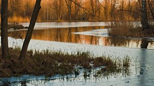 Английский парк в Петергофе
