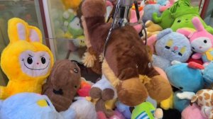 УХ ТЫ! КАКАЯ КРУТАЯ НОВИНКА В АППАРАТЕ 🐼+ ловлю всем знакомую подушку 🥰🥰🥰