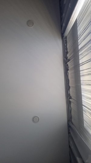 срочно зайди на стрим!!!!!