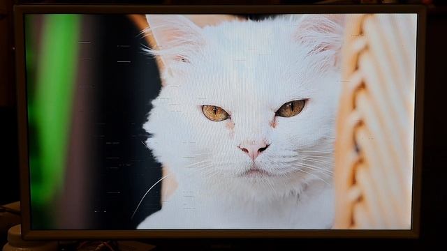 Видеокарта (неисправная) GTX 760. 2gb.