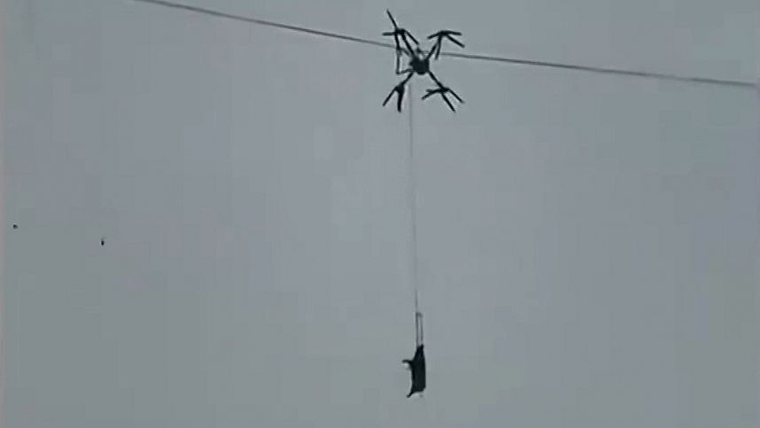 По мотивам Мимино: в Китае фермер обесточил всю деревню из-за перевозки свиньи на дроне