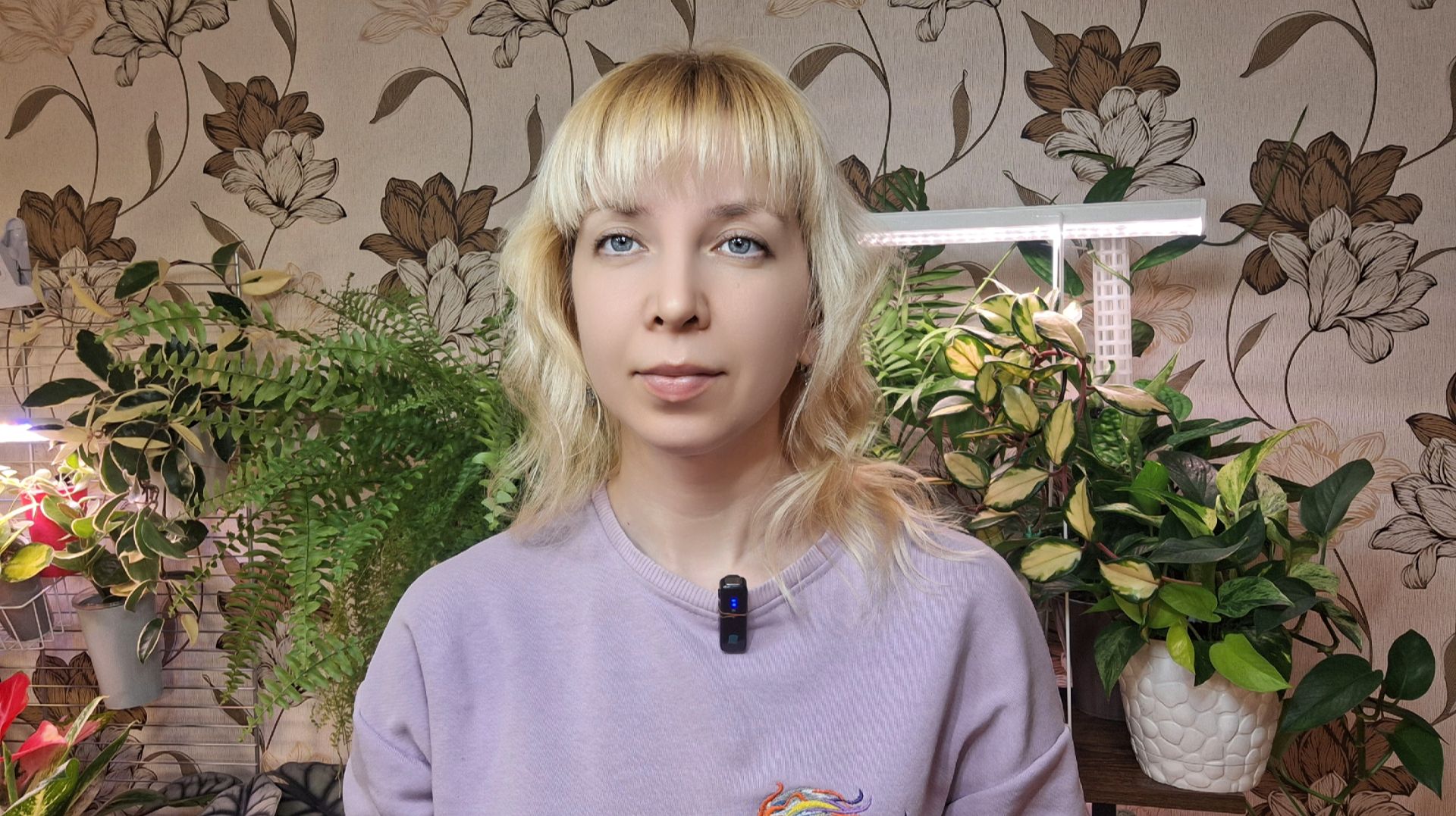 Обзор растений на стеллаже смотреть онлайн