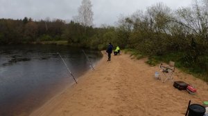 Рыбалка в мае на реке Луга 2025 год.