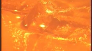 Cамый сок телеэфира. Заставка (РЕН-ТВ 04-2007)