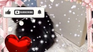 ♥️♥️♥️♥️♥️♥️♥️💕💕