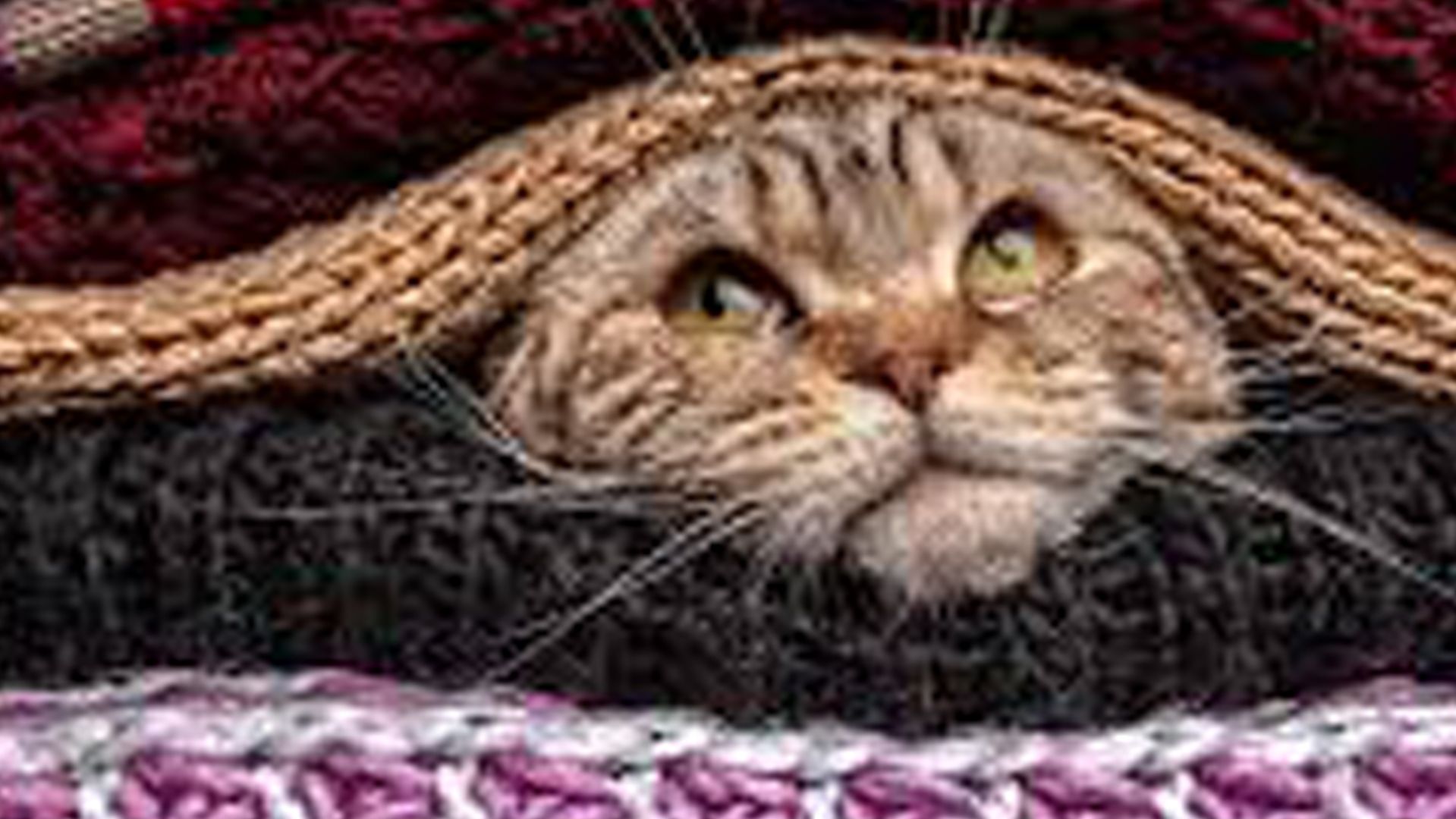 Основные Понятия смотреть онлайн