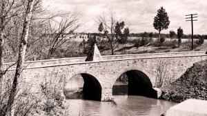 Глобальная Дичь.История метра