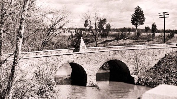 Глобальная Дичь.История метра