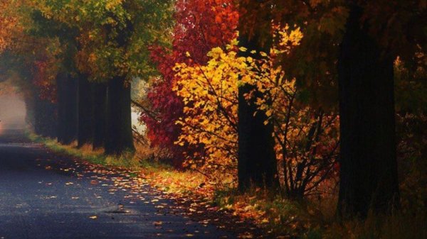 Своя сторона улицы