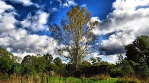 Красивое небо и его отражение в луже