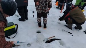 07.02.26 г. РК Волна.