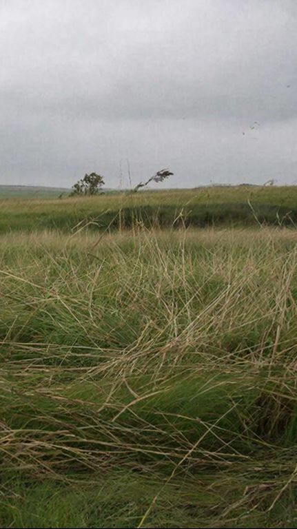 Stone - Harbinger смотреть онлайн