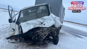 Пьяная жена Гаишника это финиш! Февральнутые Торопыги и Водятлы. ДТП