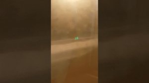 Автобус 213 Поездка от Бульвар Дмитрия Донского , 1 до Ул. Поляны , 8