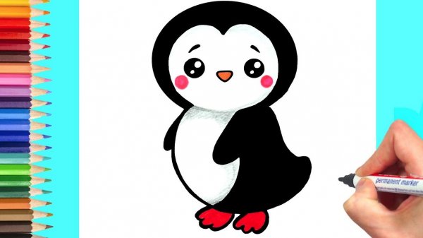 Мультик - раскраска для детей ПИНГВИНА. Учимся как рисовать ПИНГВИНА .