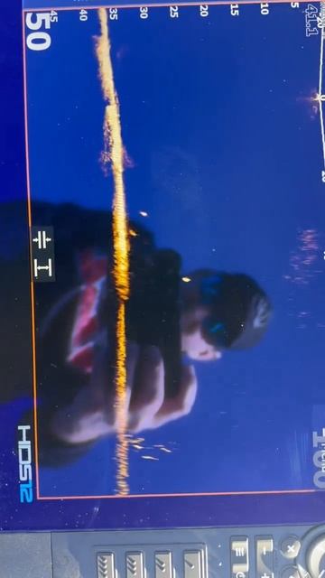 Forward AT2XL смотреть онлайн