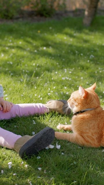 У ребенка нет указательного жеста, но есть слова: Стоит ли тревожиться? смотреть онлайн