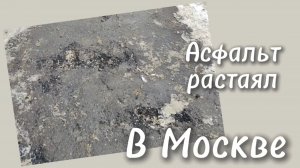 Асфальт растаял в Москве 7.02.2026 года