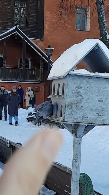 Скворечник мал смотреть онлайн