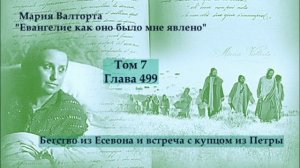 Глава 499. Бегство из Есевона и встреча с купцом из Петры