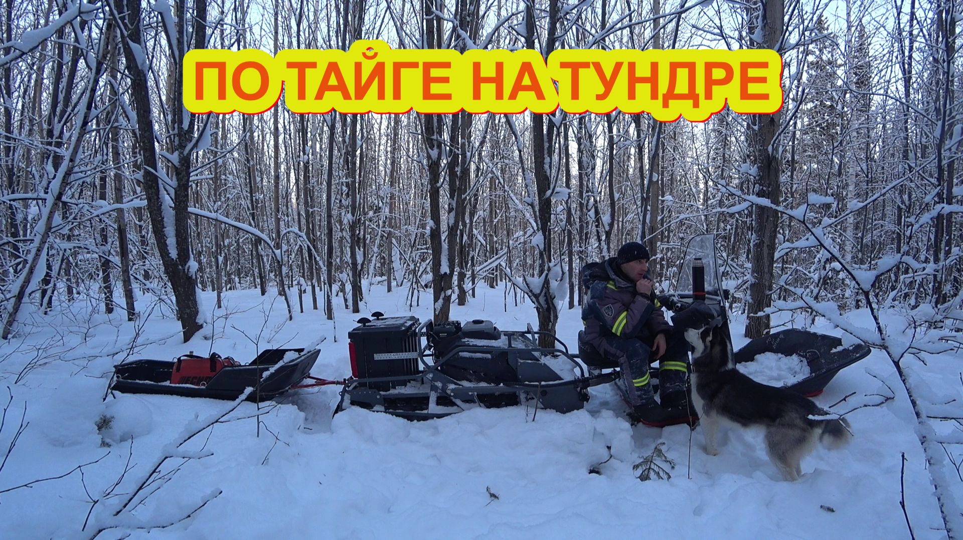 ПРОБИВАЮ ПУТИК К СХРОНУ МЕТАЛЛА! ВЫВОЖУ ИЗ ЗИМНЕГО ЛЕСА ТРАКИ, ТРОСА И ВСЕВОЗМОЖНЫЕ ЗАПЧАСТИ! смотреть онлайн