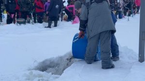 Запуск форели