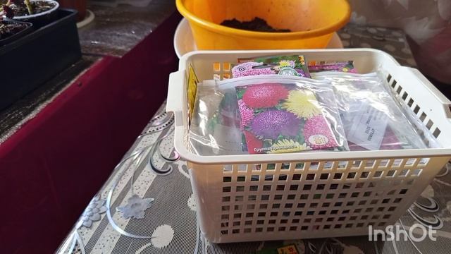 /135/Семена цветов какие буду сажать,плюсы и минусы рассады цветов. смотреть онлайн