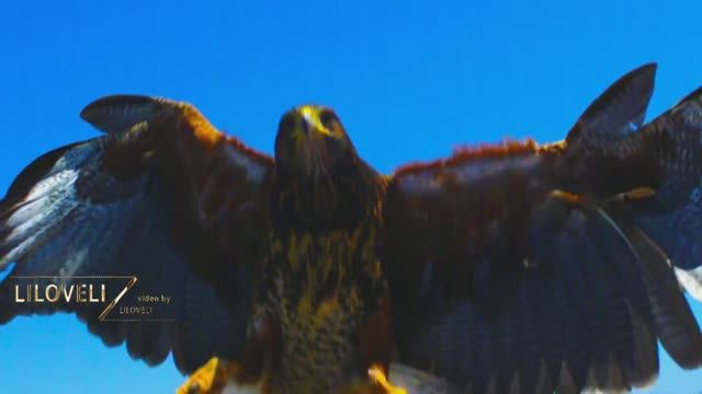 LiLoveLi - Never Give Up (Ambient Music) смотреть онлайн