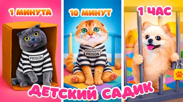 ДЕТСКИЙ САДИК оказался ТЮРЬМОЙ для ПИТОМЦЕВ 😱 САДИК - ТЮРЬМА за 1 МИНУТУ vs 10 МИНУТ и 1 ЧАС