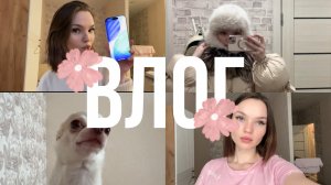 ВЛОГ I МОИ РАССТРОЕННЫЕ БУДНИ I СНОВА БЕЗ РАБОТЫ I КУПИЛА НОВЫЙ ТЕЛЕФОН