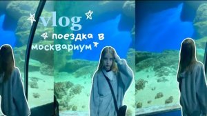 VLOG поездка в москвариум🪼|рыбы|косатка|москва🤍