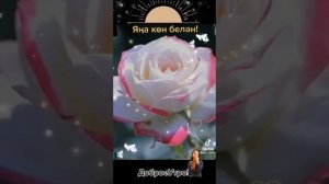 1000017410.mp4