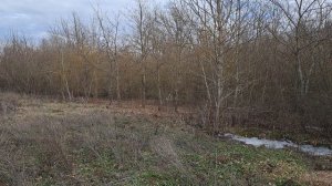 Жизнь в Украине продолжается !