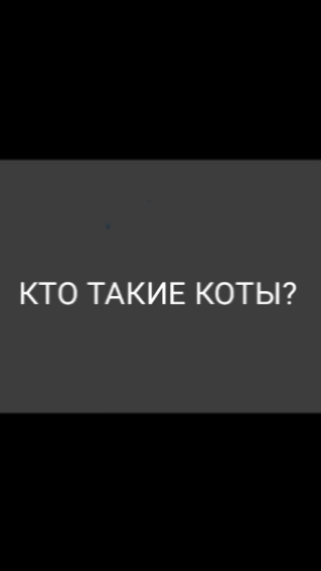 Кто такие коты.