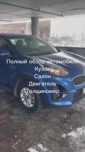 Осмотр спортаж