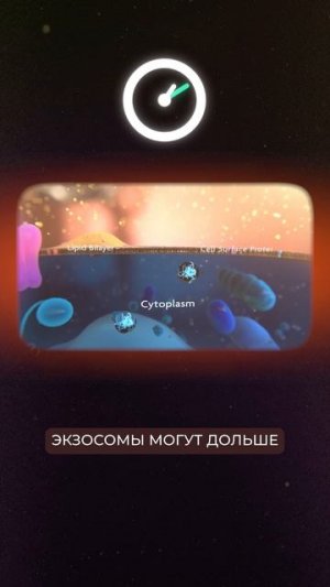 Биологический свойства экзосом