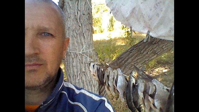 Отдых дикарями .Рыбалка на Ахтубе. часть 2