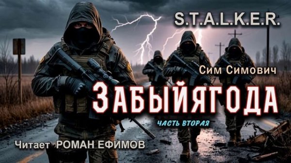 S.T.A.L.K.E.R. Забыйягода (аудиокнига). Часть 2. ФАНТАСТИКА. Сим Симович. Читает Роман Ефимов.