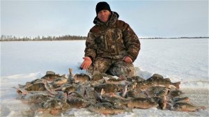 ТАКИХ РЫБАЛОК МНОГО НЕ БЫВАЕТ)! ГОРБАТЫЕ ОКУНИ КАК НА ПОДБОР, ЛУЧШИЙ РАЗМЕР!