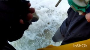 РЫБАЛКА 2026!!! КРУПНЯК ПРЁТ