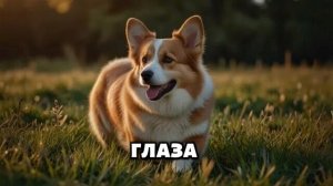 Как выработать свой стиль рисовки?