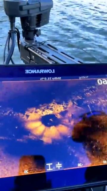 Active target 2XL Live 360 смотреть онлайн