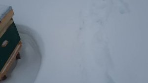 трескучие морозы почти позади , пока все семьи живы.