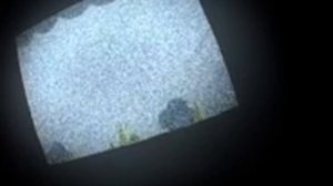 be be bears.avi новая версия