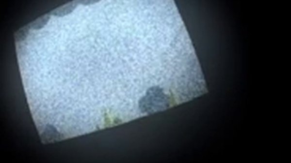 be be bears.avi новая версия